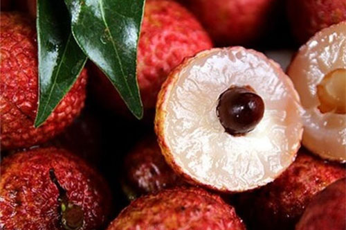 ��֦�Ĺ�Ч������ ����֦�ĺô�